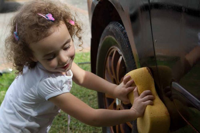 Pumpkin loved cleaning