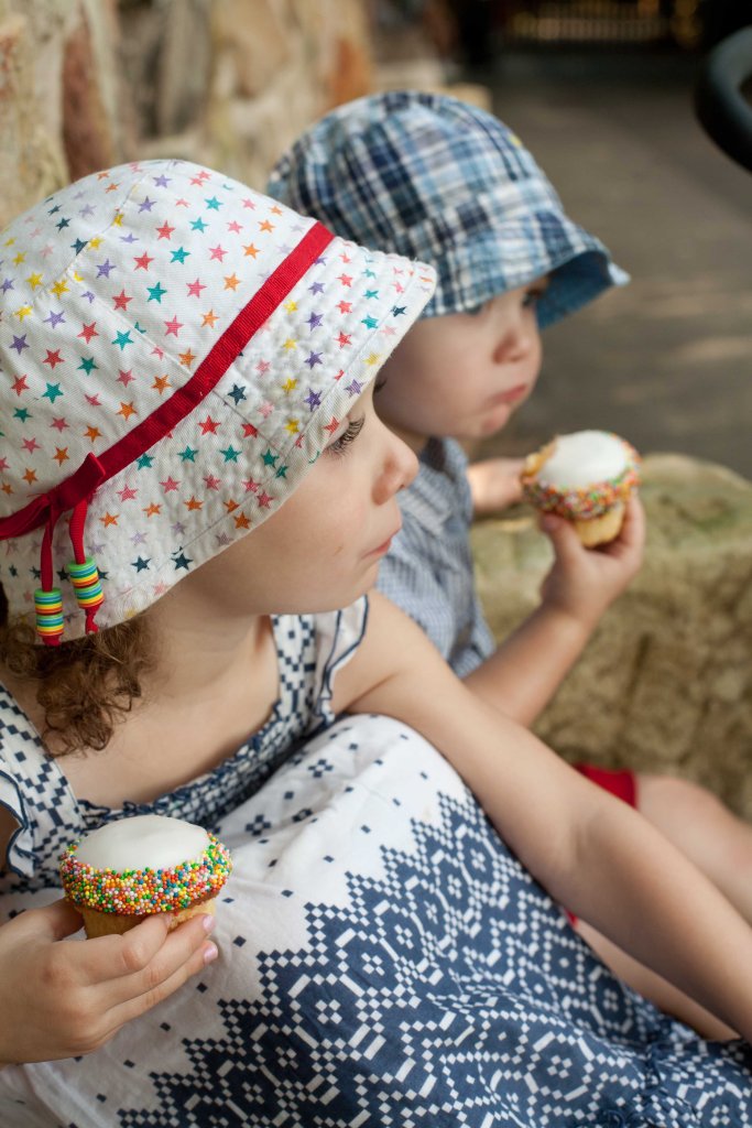 Cupcakes by the Giraffes