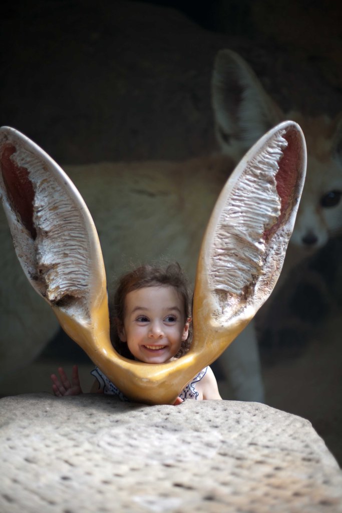 I think I have a picture of me with these Fennec Fox ears!