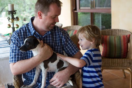Pat the dog...