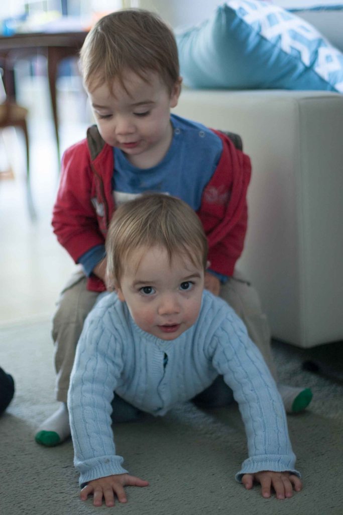 They even provide each other transport!