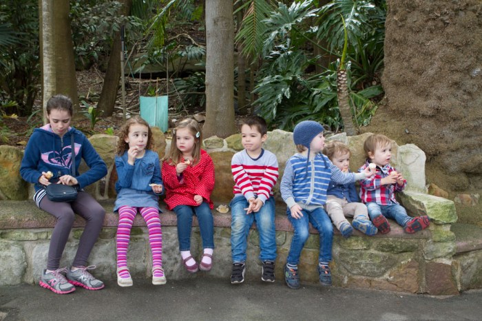 Nice to have all the kiddliewinks together