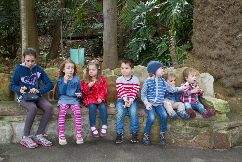 Nice to have all the kiddliewinks together